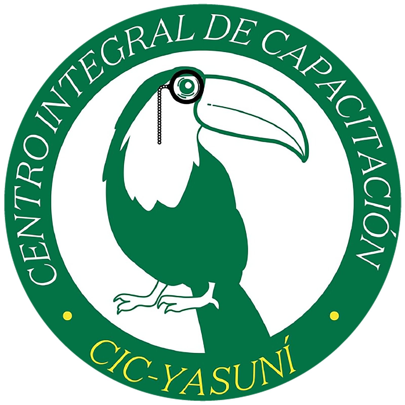ISTY Logo
